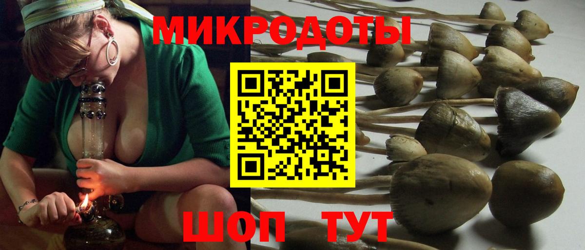 Знаменск  Псилоцибиновые грибы мицелий  Галлюциногенные грибы Psilocybe  купить закладку  Вход с VPN 